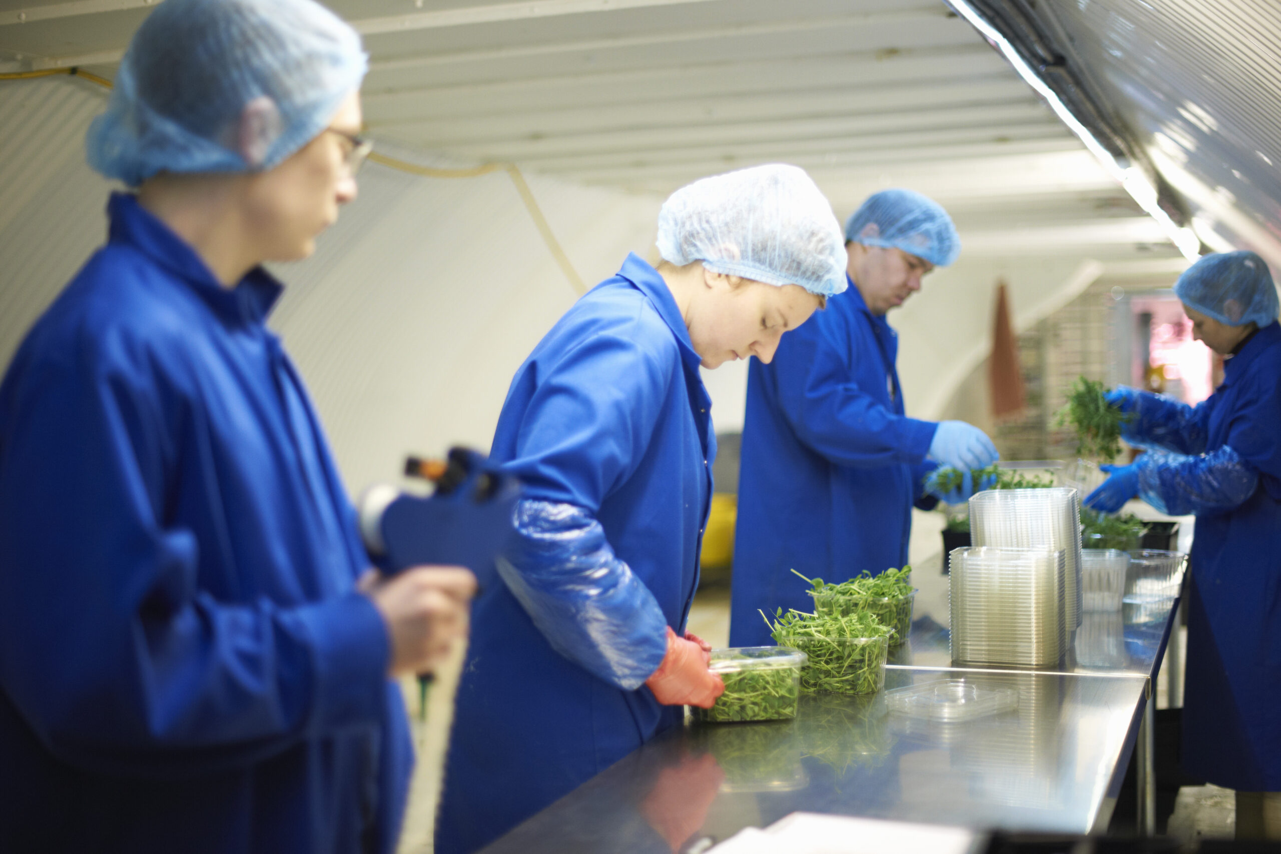 Compliance and Industry Advisor