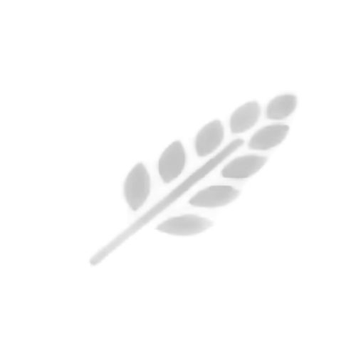 Britton Business Solutions